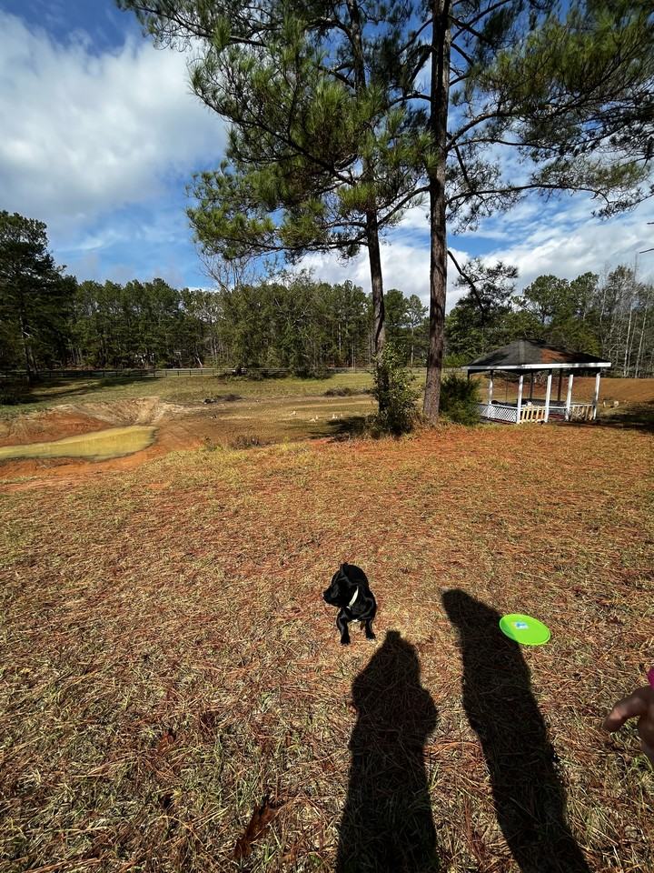 9888 Whitehouse Parkway #NA - Photo 5 of 25