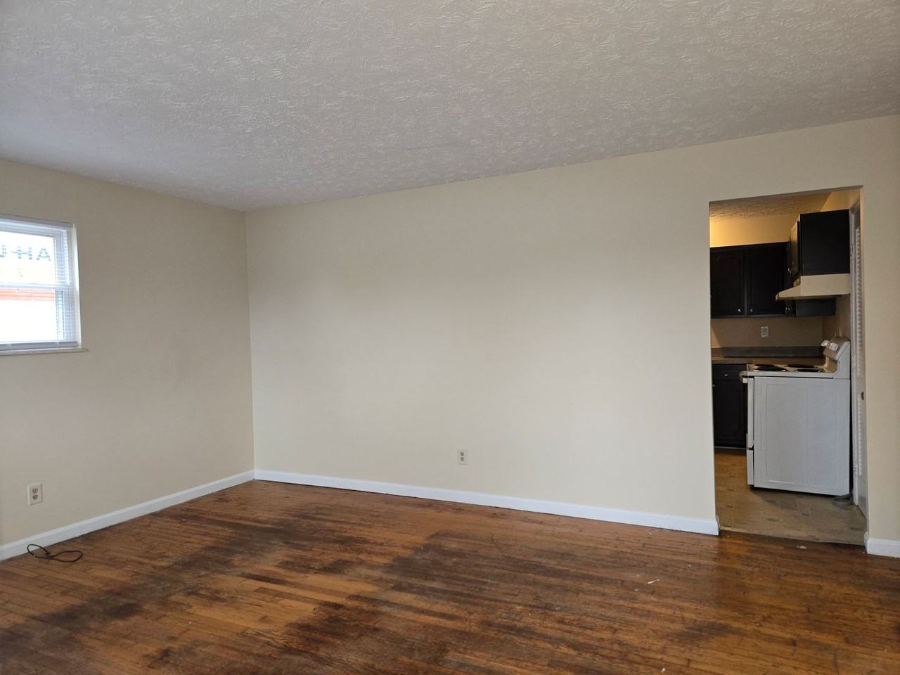 537 Asbury Lane - Photo 4 of 18