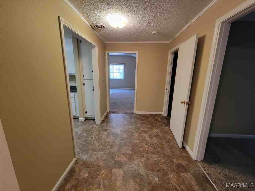 1135 Lombard Dr - Photo 5 of 17