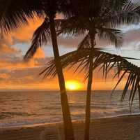 featured image of 3535 South Ocean Drive #2805