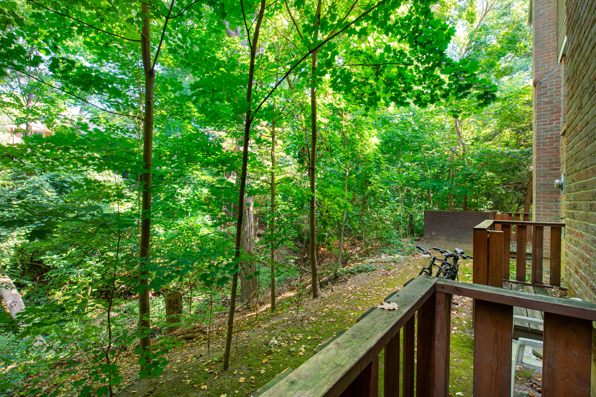 3061 Sir Johns Homestead - Photo 6 of 50