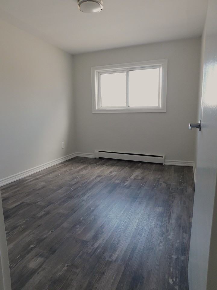 716 Downie Street - Photo 7 of 17