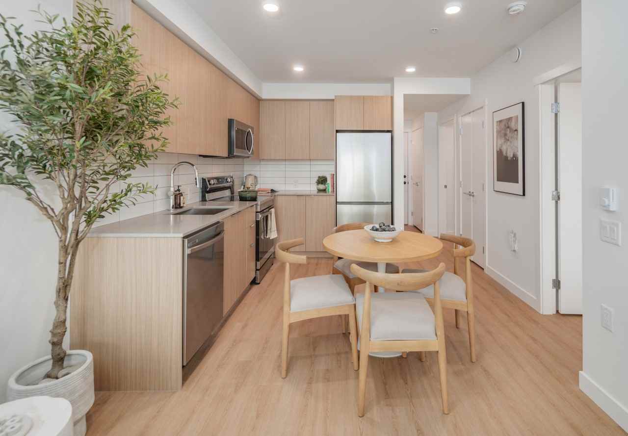 Arlo - Photo 6 of 50