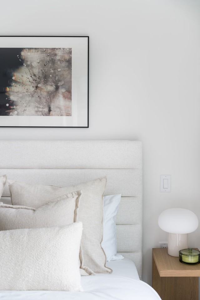 Arlo - Photo 7 of 50