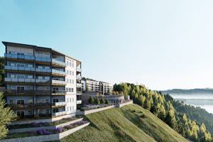 featured image of 2132 Bear Mountain Pky