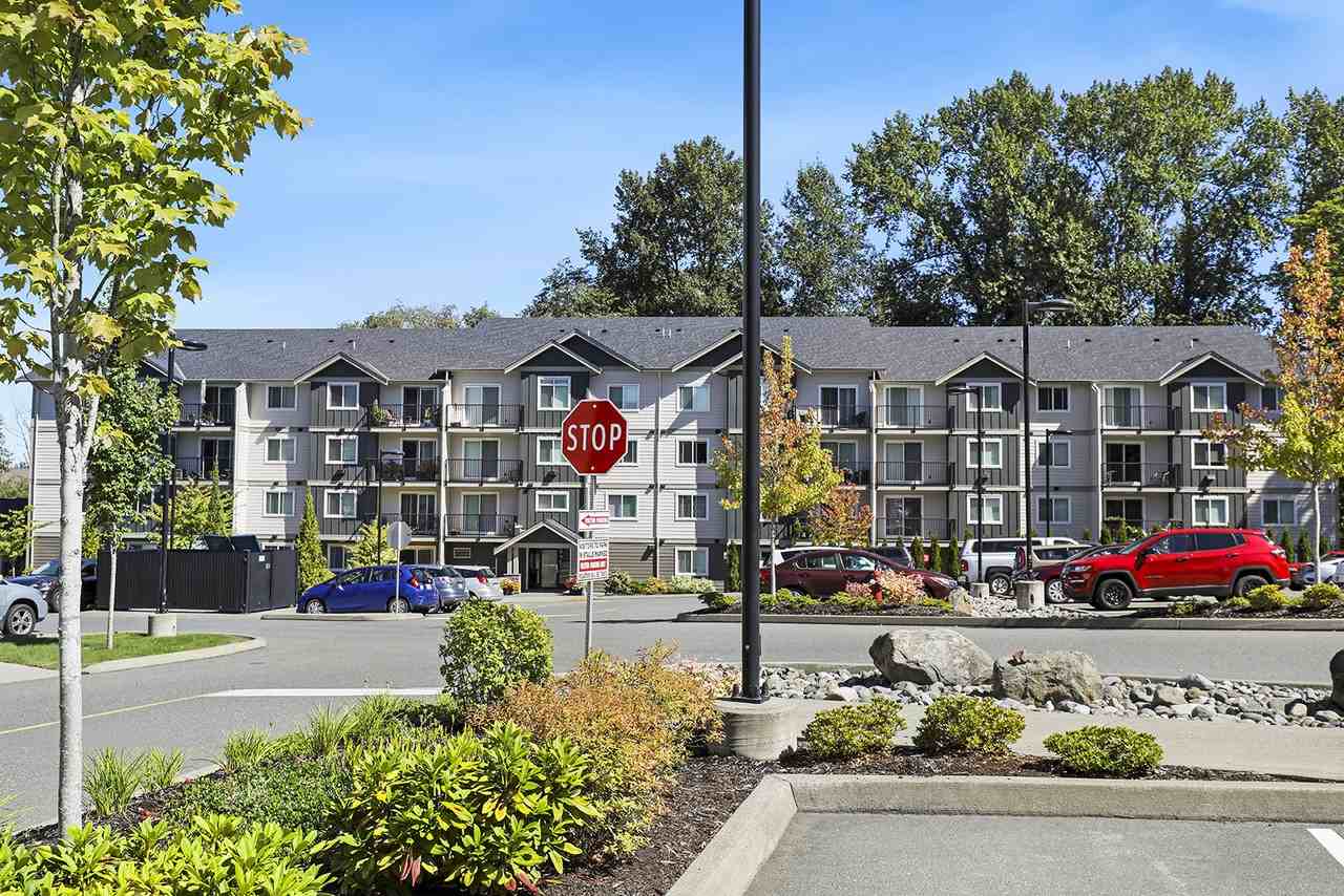 Acadia on the Walk - Photo 4 of 20