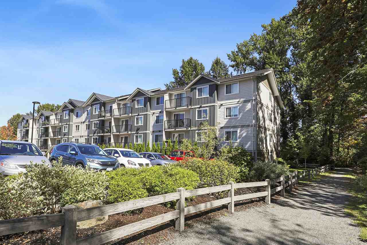 Acadia on the Walk - Photo 5 of 20