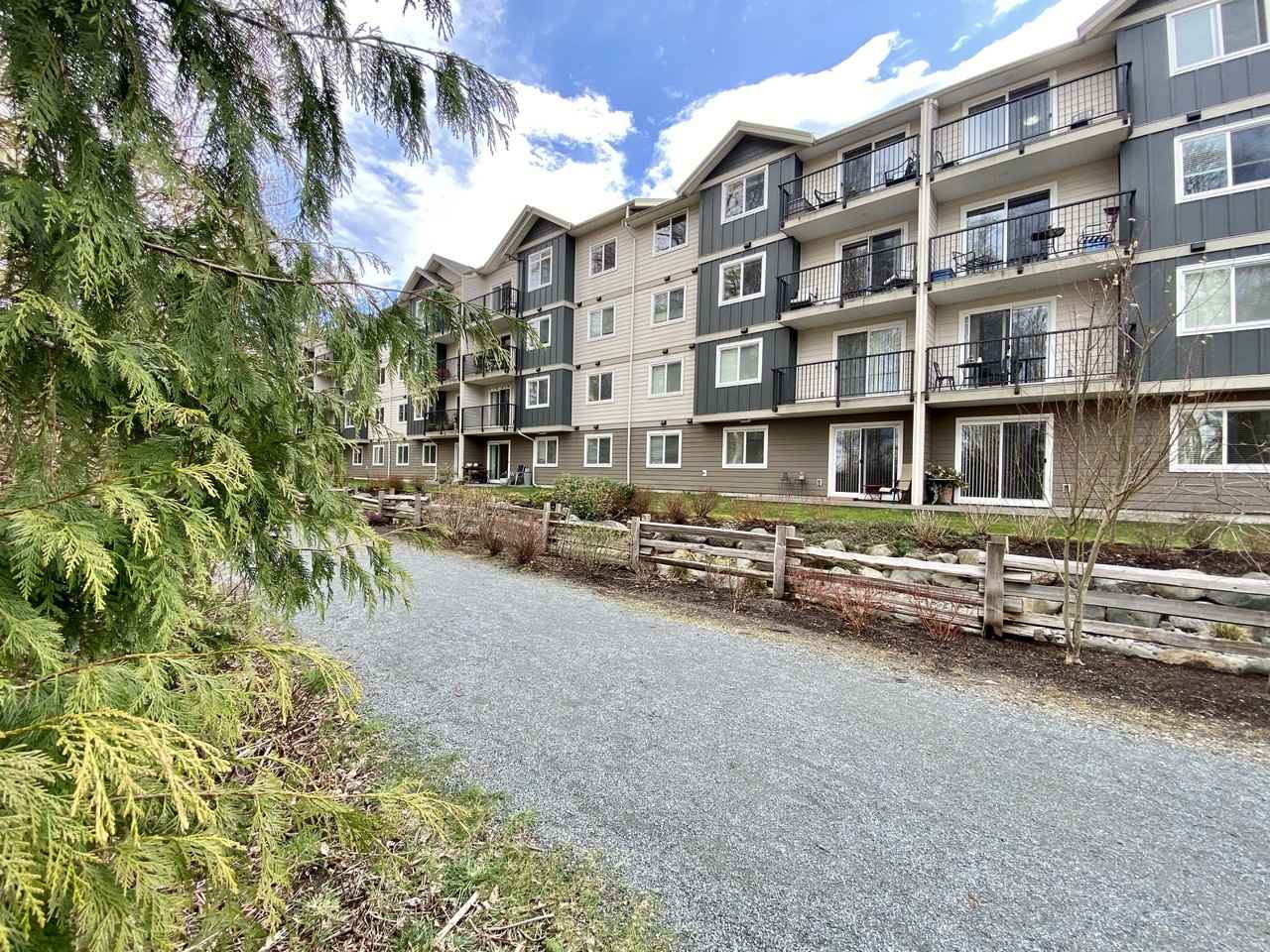 Acadia on the Walk - Photo 6 of 20