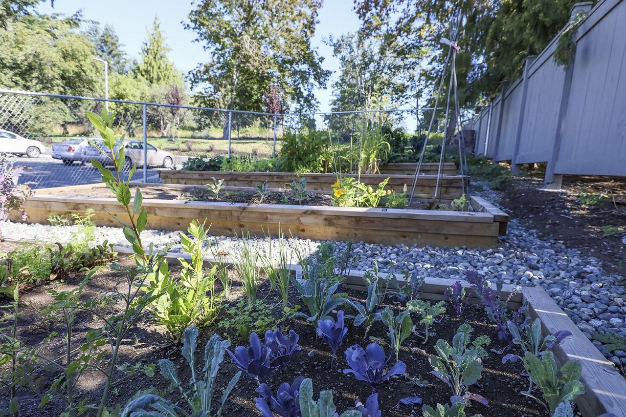 Enclave Residences - Photo 4 of 15