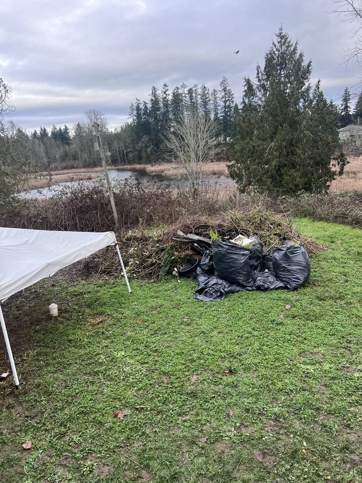 1668 Cedar Road - Photo 4 of 12