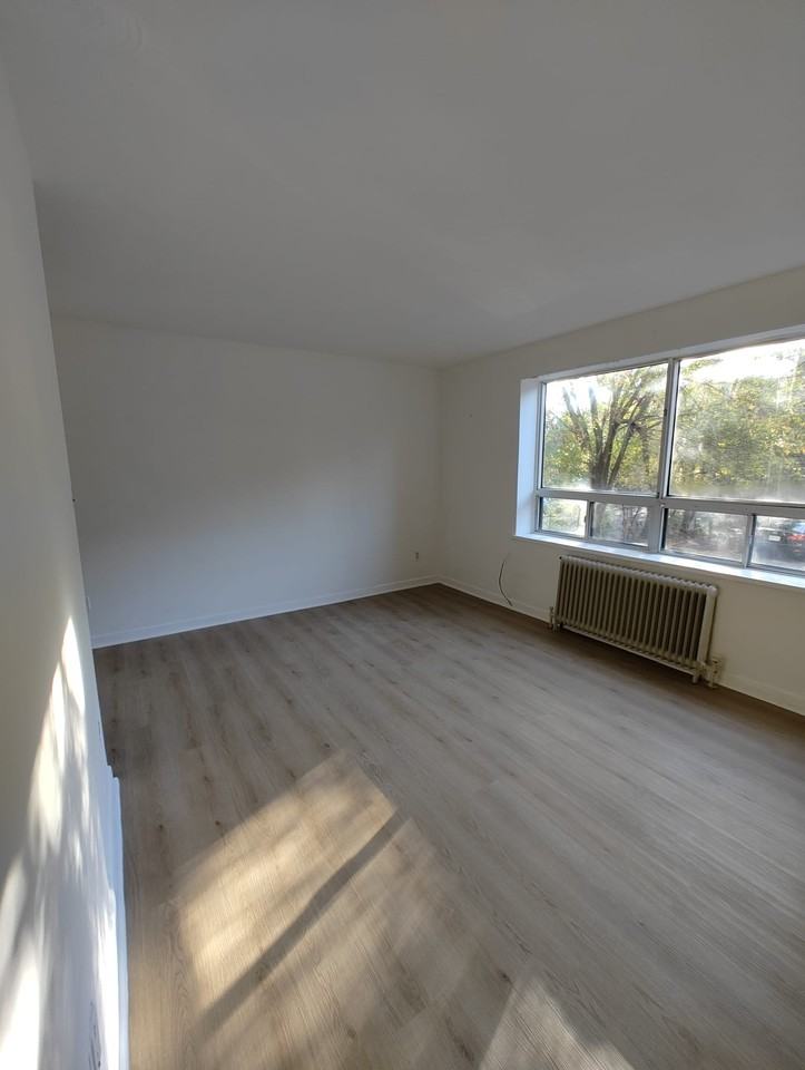 536 Birchmount Road - Photo 4 of 11