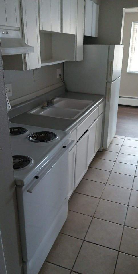 1345 Yosemite Street - Photo 2 of 13