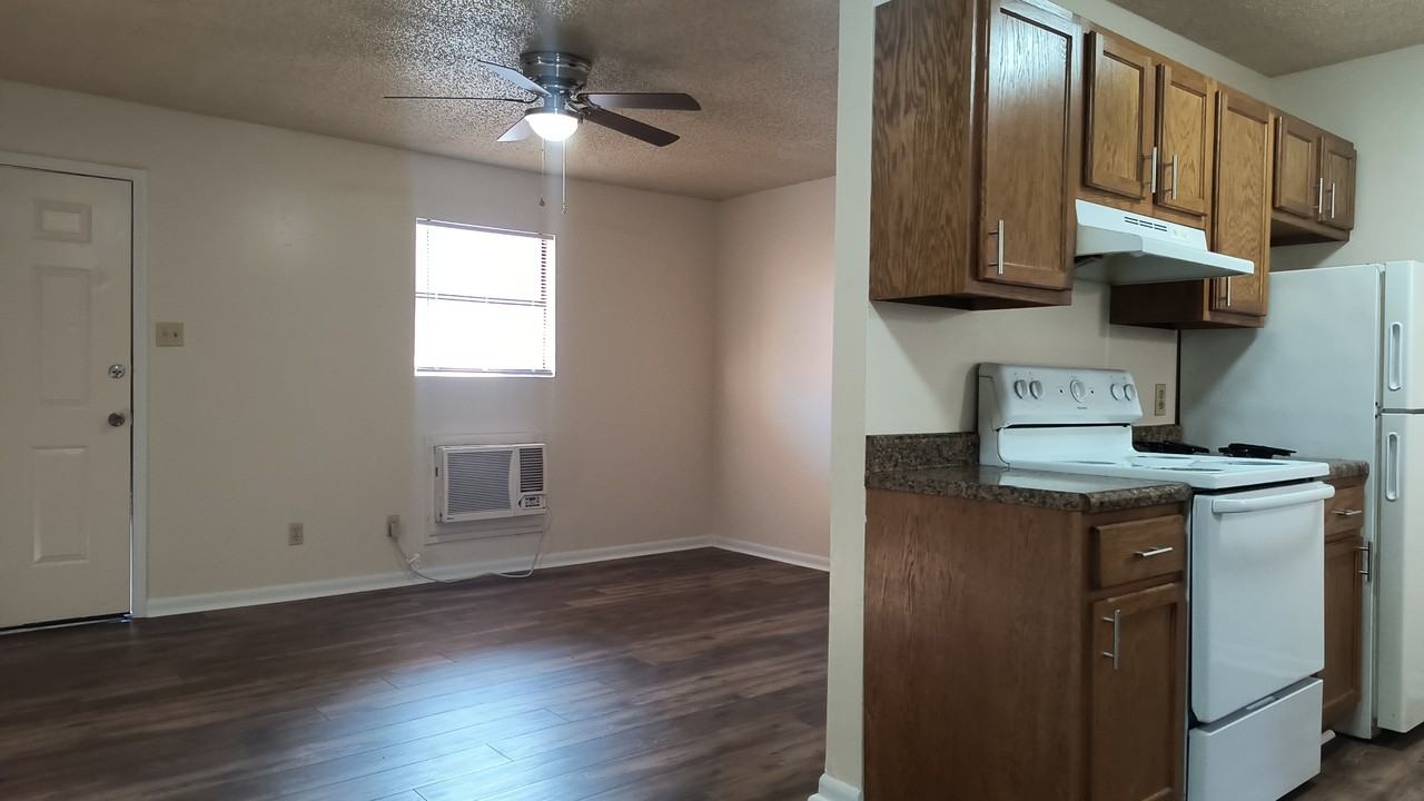 3720 Miramar Drive - Photo 4 of 21