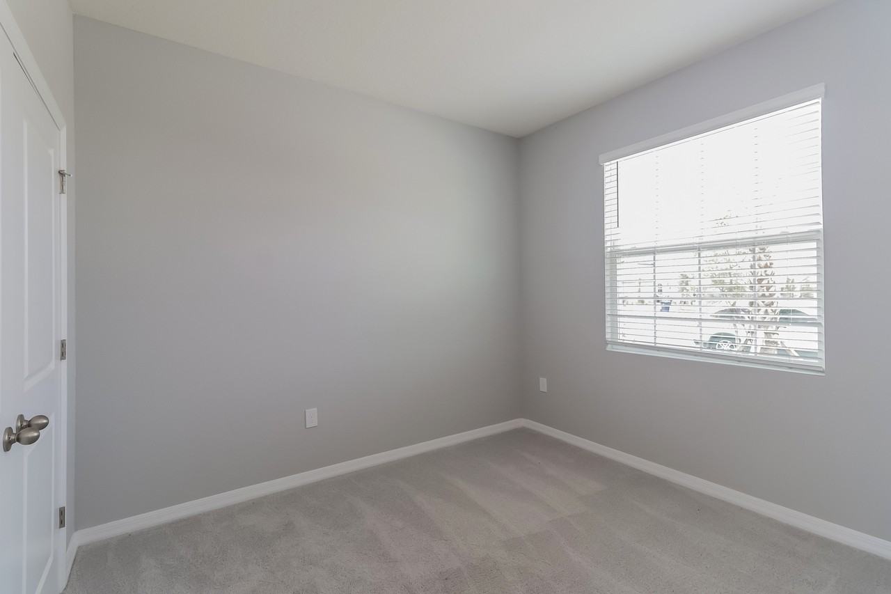 31209 Mango Fade Way - Photo 3 of 13