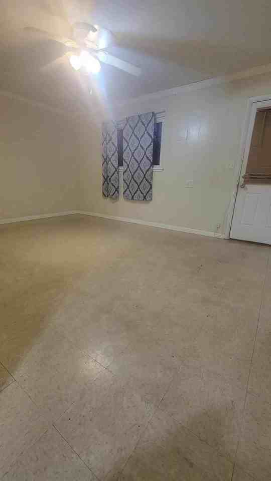 515 Monteith Gap Rd - Photo 5 of 5