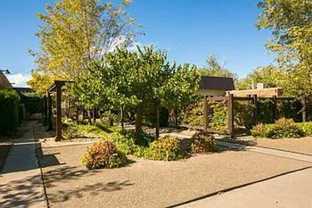 Beautiful Apartment Community with Residential Courtyard - Photo 1 of 1