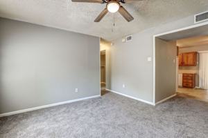 featured image of 266 Blocker Ln