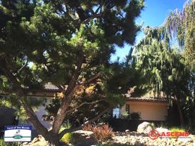 7613 Carabina Ct - Photo 1 of 1