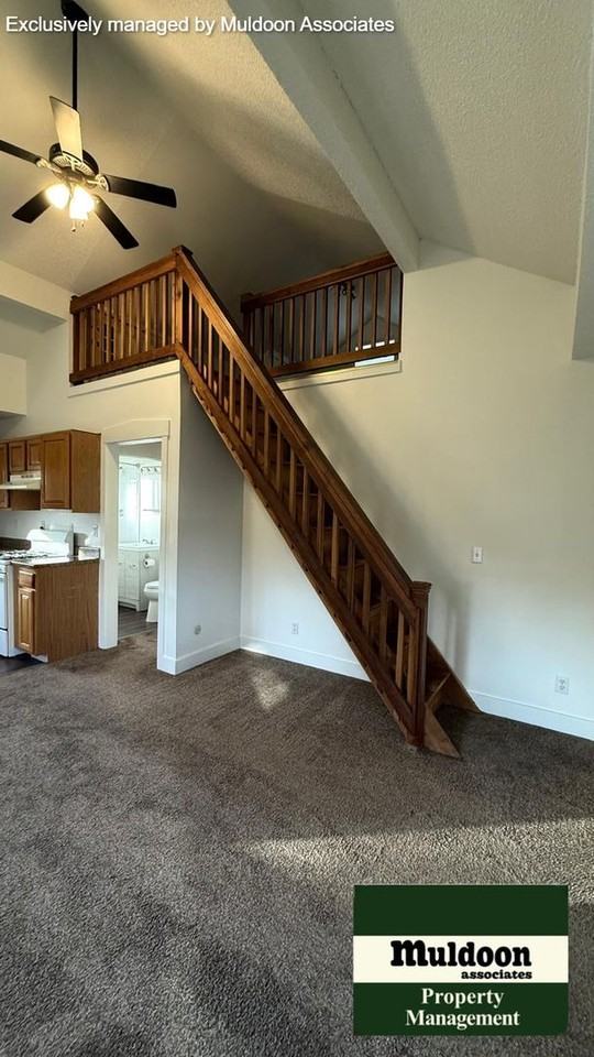 1137 Van Buren St - Photo 3 of 22