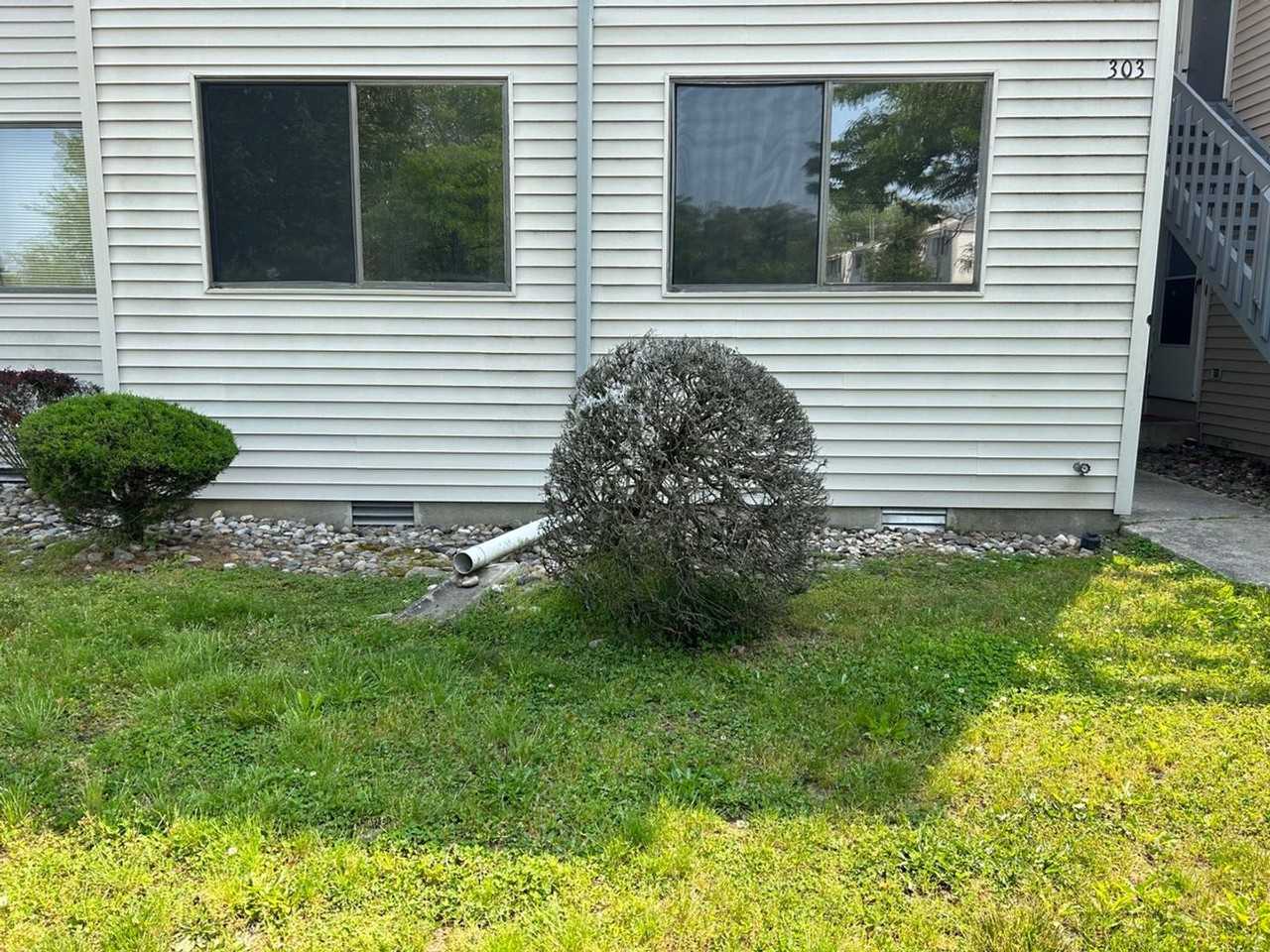 610 Noahs Lndg #303 - Photo 2 of 20