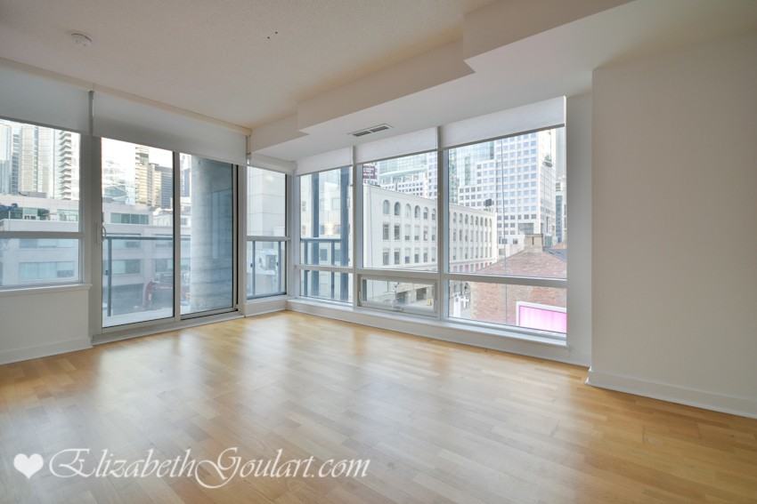 295 Adelaide Street West - Photo 3 of 21