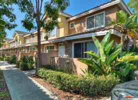 featured image of 2191 Cabo Bahia - 1 #1