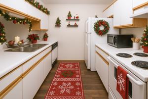 featured image of 1090 E Chicago Blvd #17