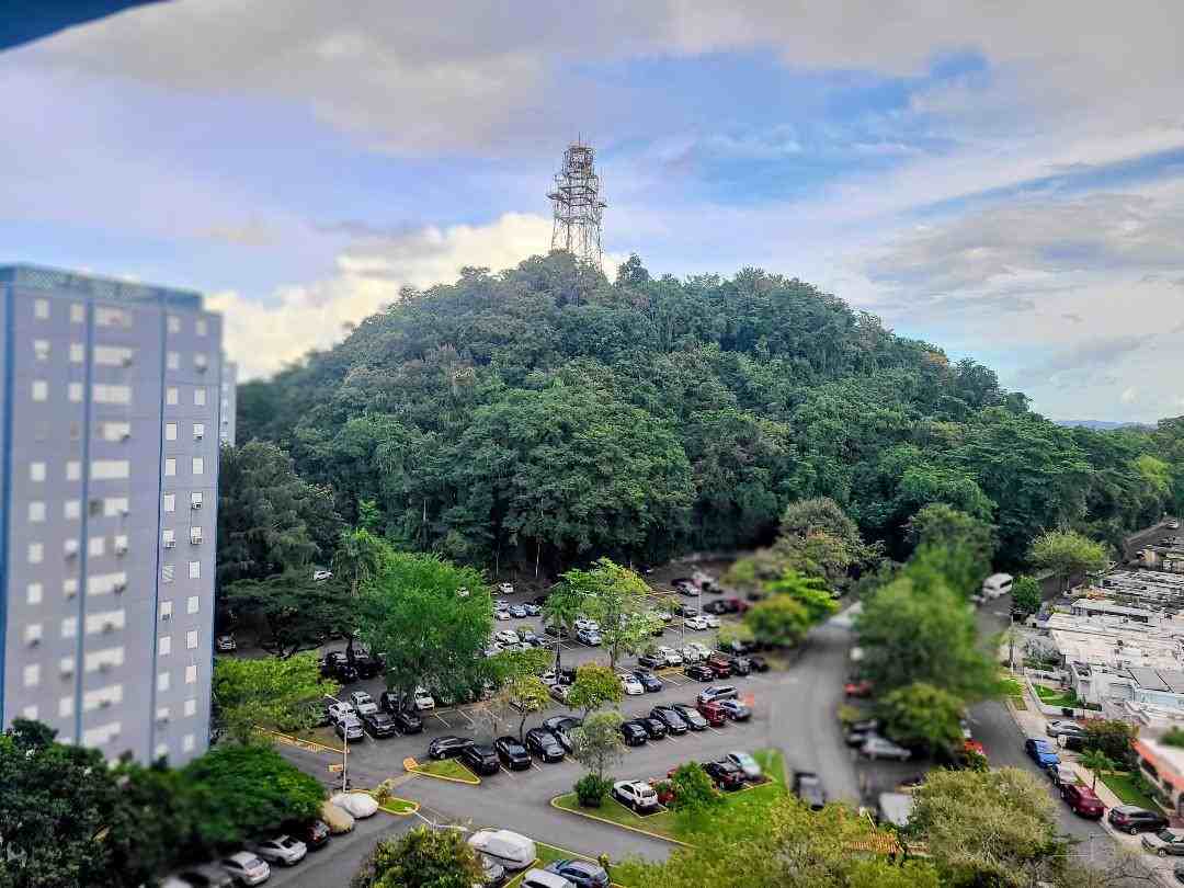 1486 Avenida Fd Roosevelt - Photo 4 of 8