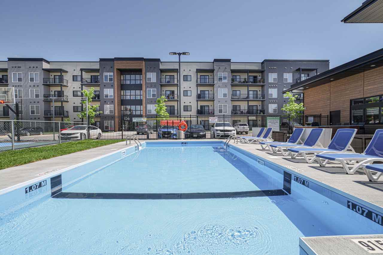 Luna at Aurora - Photo 7 of 38