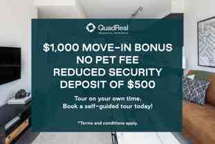 Hazel - Photo 1 of 1