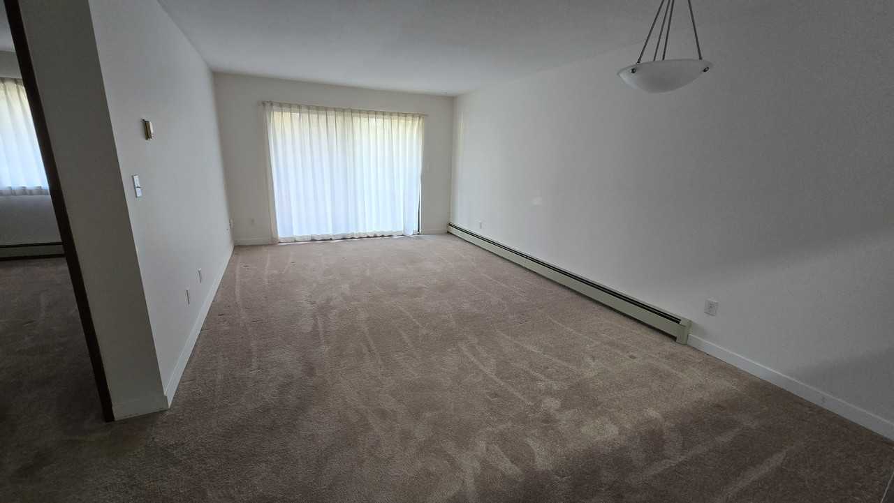 3026, 3044 & 3046 Clearbrook Road - Photo 4 of 37