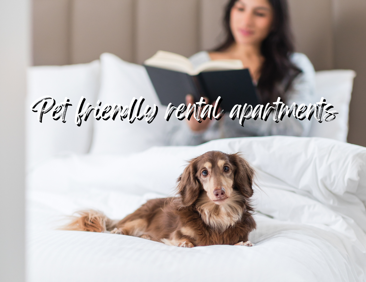 Riva Residences - Photo 4 of 20