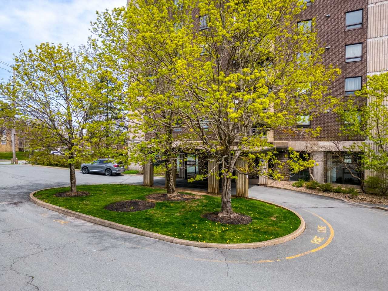 King Andrew - Photo 3 of 7