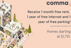 Comma King George - Photo 1 of 1