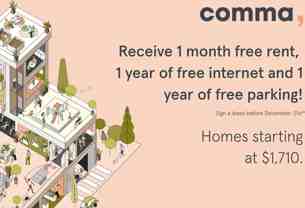 Comma King George - Photo 1 of 1