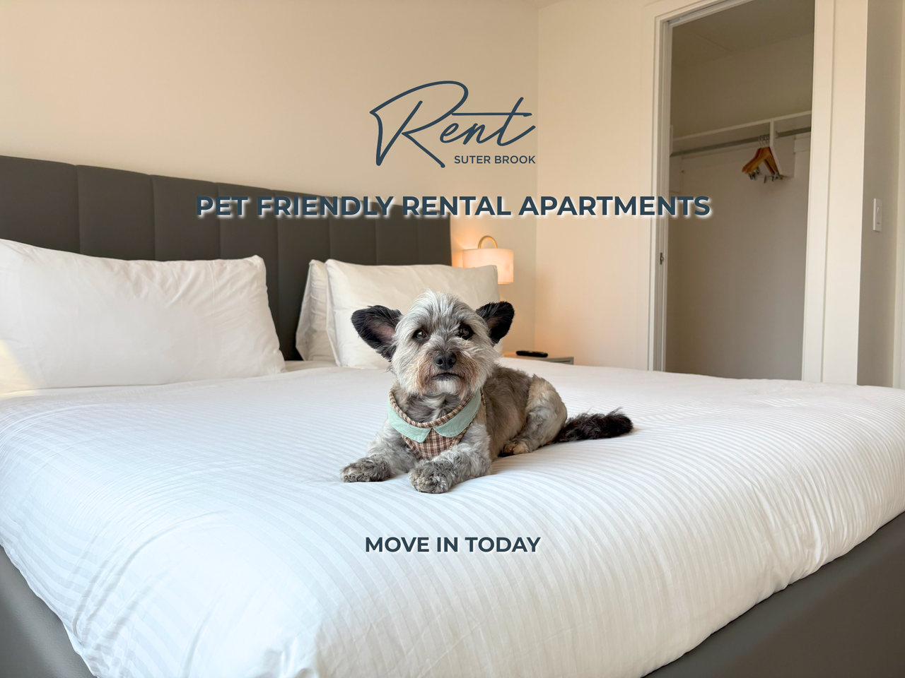 Rent Suter Brook in Suter Brook Village - Photo 5 of 13