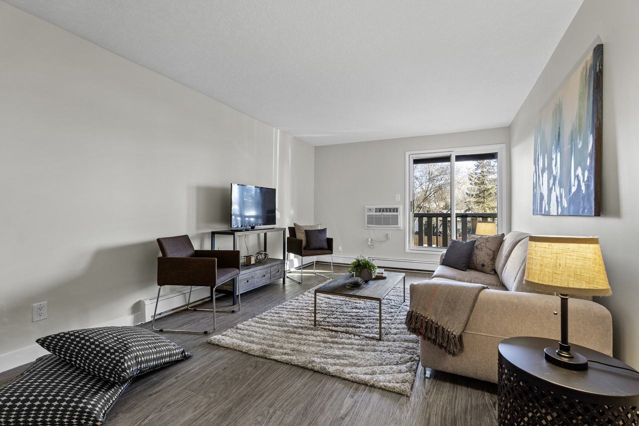 Elan - Photo 5 of 50