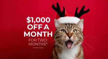 featured image of 2625 Meadows Pky