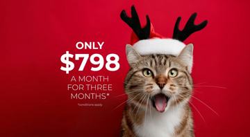 featured image of 680 Belmont St Sw