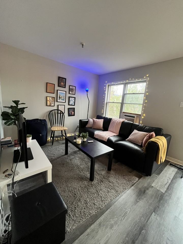 188 Waverley Street - Photo 3 of 14