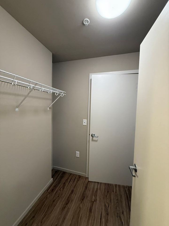 NICO - Photo 7 of 36