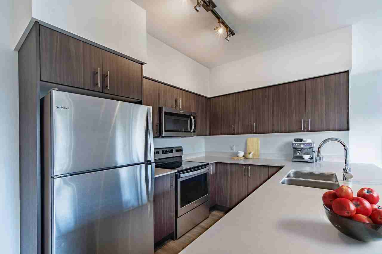 Aurora - Photo 7 of 8