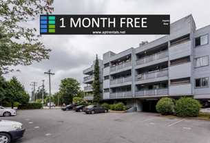 Greystone Apartments - Photo 1 of 1