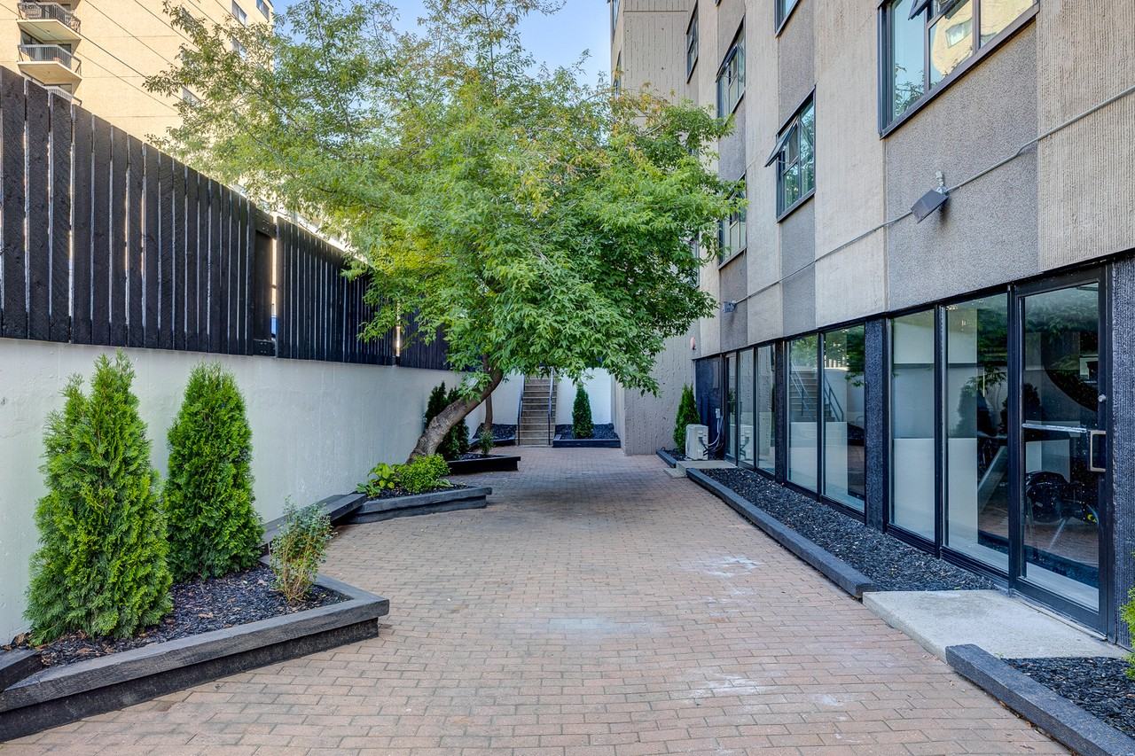 Wimbledon - Photo 3 of 16