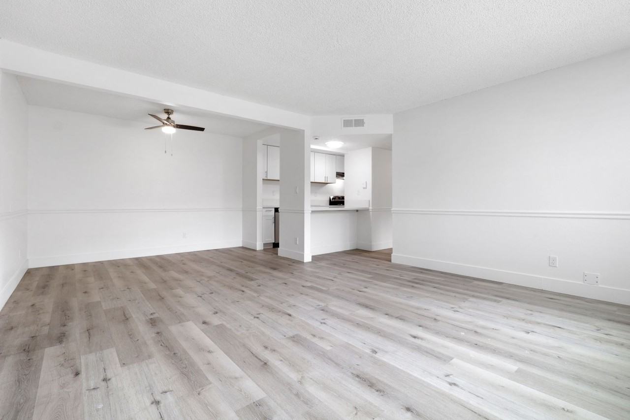 Vivleo - Photo 2 of 29