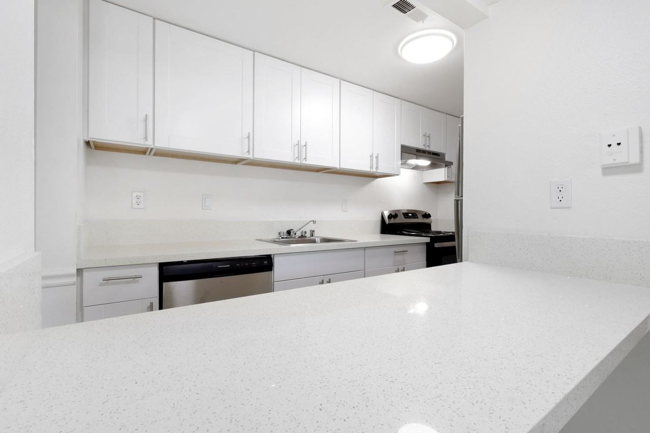 Vivleo - Photo 4 of 29