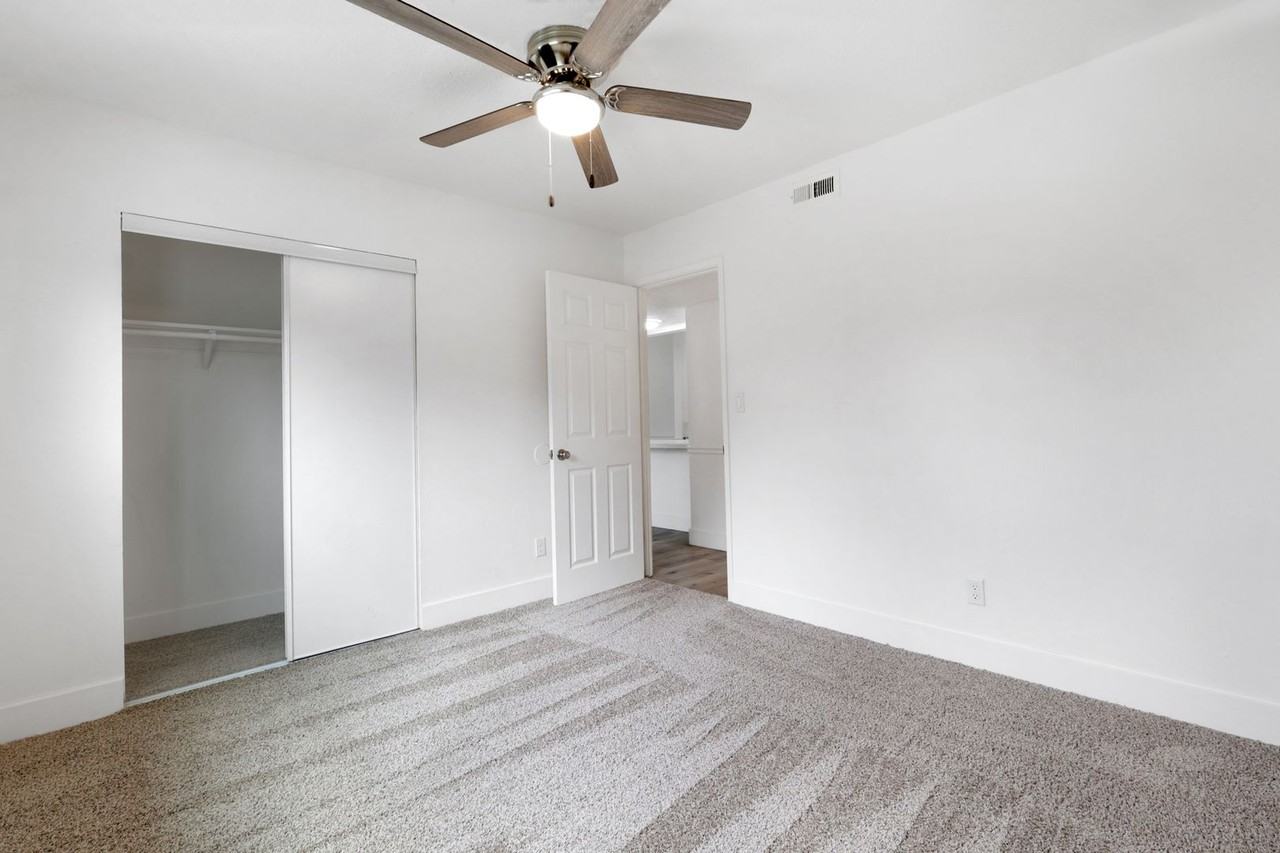 Vivleo - Photo 7 of 29