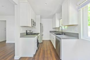 Yukon Gold - Photo 1 of 1