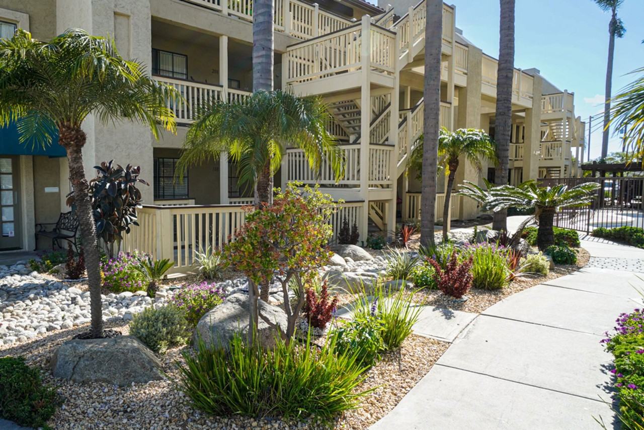 Pebblecreek Apartments | Spacious Apartment Homes in the Heart of San Marcos! - Photo 6 of 28