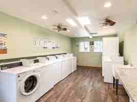 featured image of 2215 Peach Tree Dr